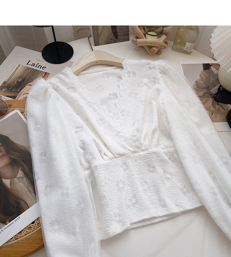 Mesh long sleeve T-shirt V-neck slim fit short pattern top 6670