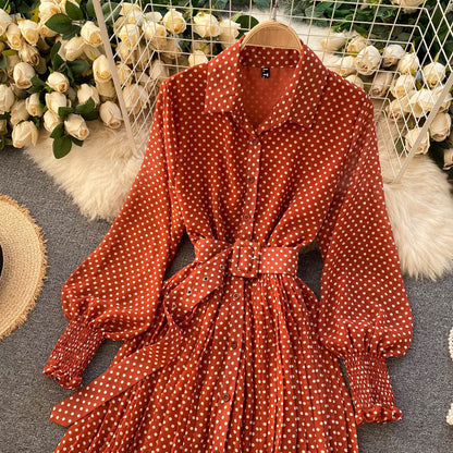 Fashionable A Line Polka Dot Long Sleeve Dress Fashion Dress  10924