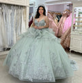 Elegant Sage Green Sweetheart Sequins Appliqued Detachable Strap Quinceanera Ball Gown TP5247