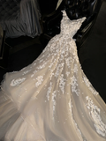 Elegant Champagne Tulle 3D Lace Embroidery Sparkle Train Wedding Dress TP5387