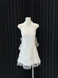 Fairy A Line Halter Lace Tulle Backless With Bow Short Homecoming Dress,Vacation Dress,Summer 19th Birthday Dress GG4682
