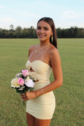 Vintage Beige Sweetheart Strapless Sheath Bodycon Homecoming Dress Party Dress Short Cocktail Dress TP4813