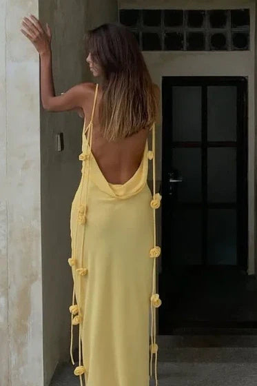 Spaghetti Straps Backless Chiffon Fitted Party Prom Dress