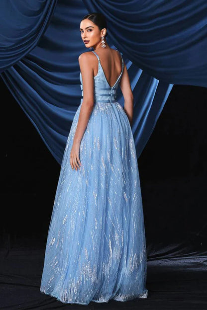 Sparkly V-Neck Empire A-Line Floor-Length Party Evening Dress