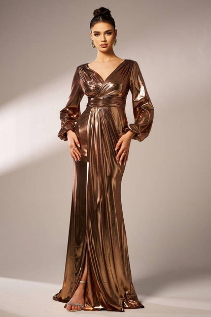 V-Neck Long Sleeves Mermaid Party Evening Dress