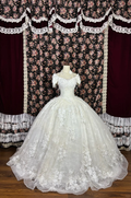 Glamorous Ivory Off-Shoulder Intricate Lace Applique Tulle Wedding Dress TP5339