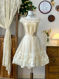 New Simple Beige Lace A-line Tulle Short Homecoming Dresses TP3921