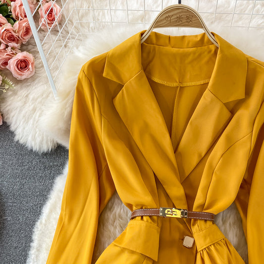 Design sense: small crowd, narrow waist, thin suit collar, Pleated Dress  3371