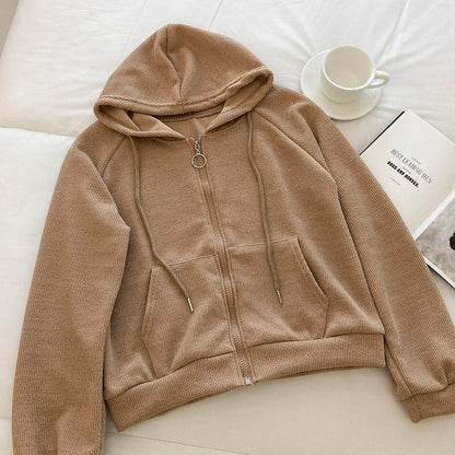 Korean solid color versatile student loose long sleeve short coat  6212