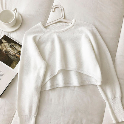 Korean version of soft waxy Pullover  5845