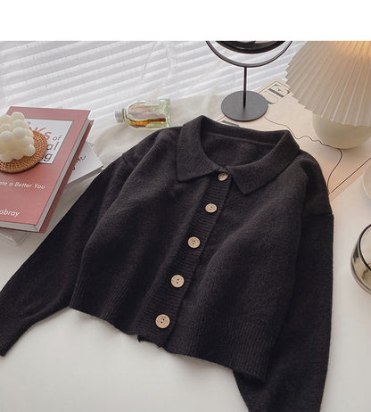 Korean lazy loose long sleeve versatile Lapel top  5879