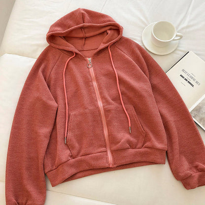 Korean solid color versatile student loose long sleeve short coat  6212