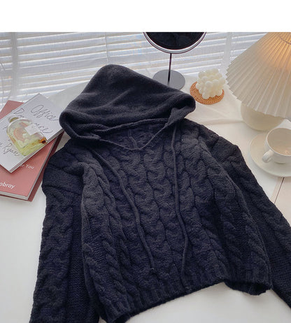 Niche design hooded Pullover long sleeve short knit top  5854