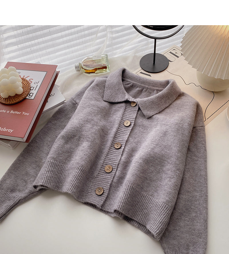 Korean lazy loose long sleeve versatile Lapel top  5879