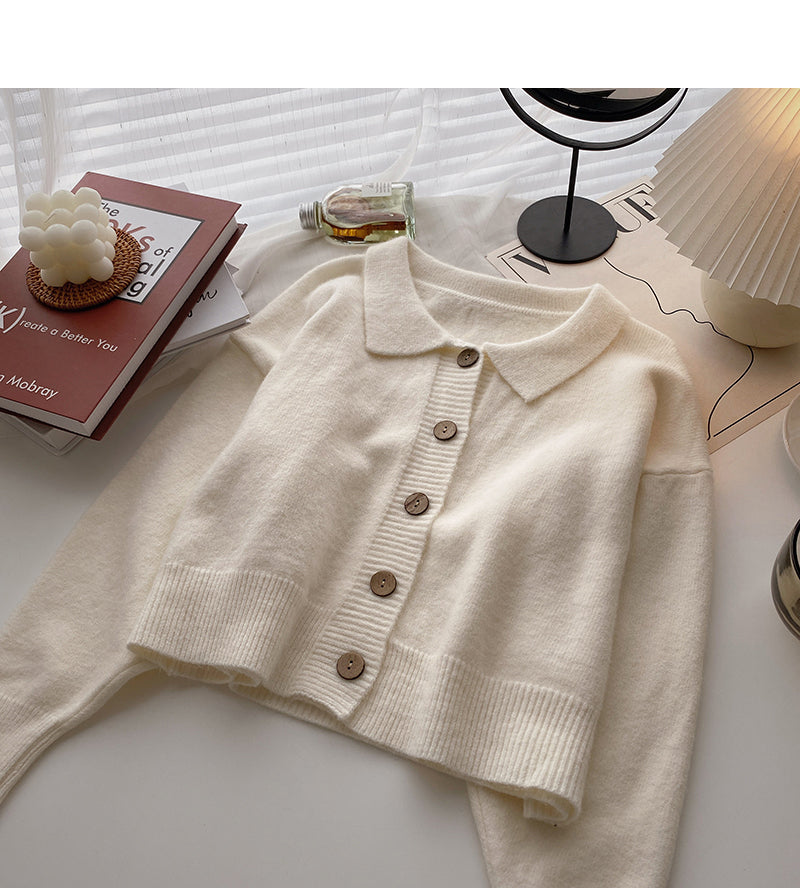Korean lazy loose long sleeve versatile Lapel top  5879