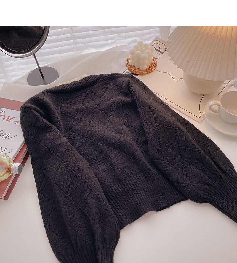 Korean V-neck Lace Long Sleeve Top  5867
