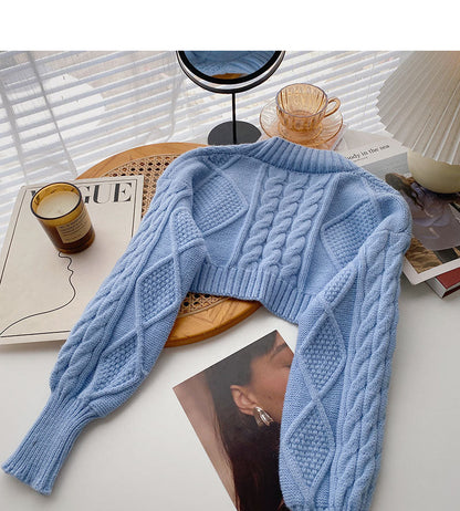 Vintage sweater small coat Long sleeve short top fashion 6067