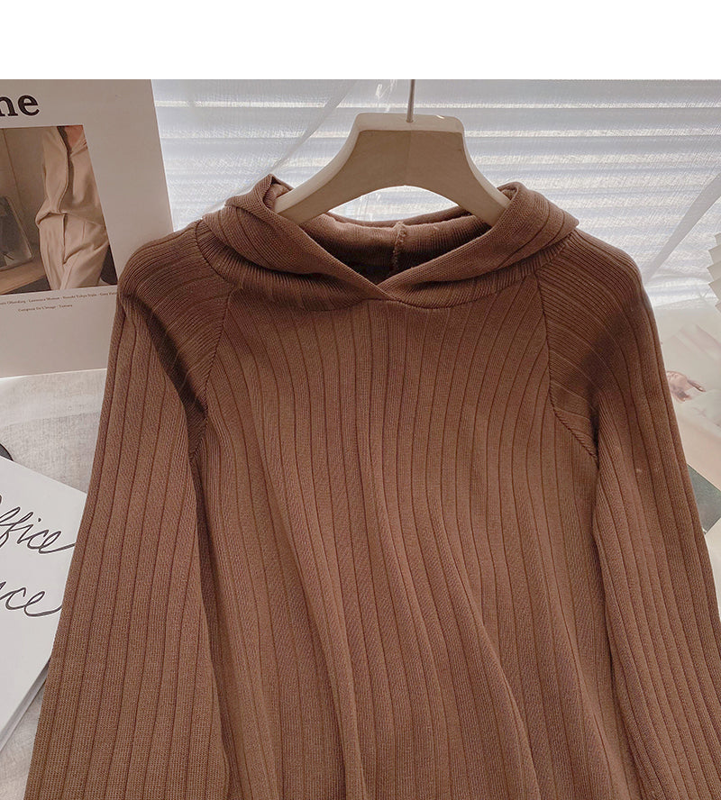 Simple leisure solid color Pullover Hooded long sleeve top  6556