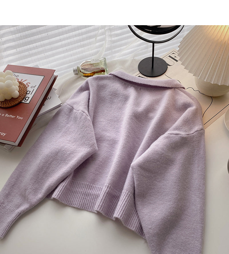 Korean lazy loose long sleeve versatile Lapel top  5879