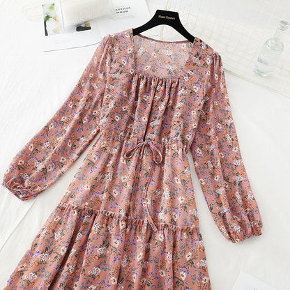 Chiffon floral dress shows thin Daisy dress  3877