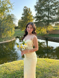 Pastel Yellow Mermaid Prom Dress,Luxury Lace Evening Dresses